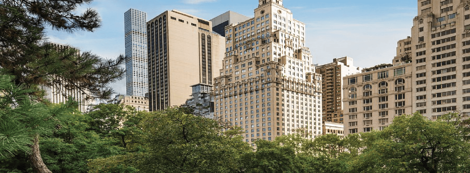 Top 7 Best Family-Friendly Luxury Hotels in New York